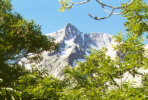 der Gothard - die Alpen